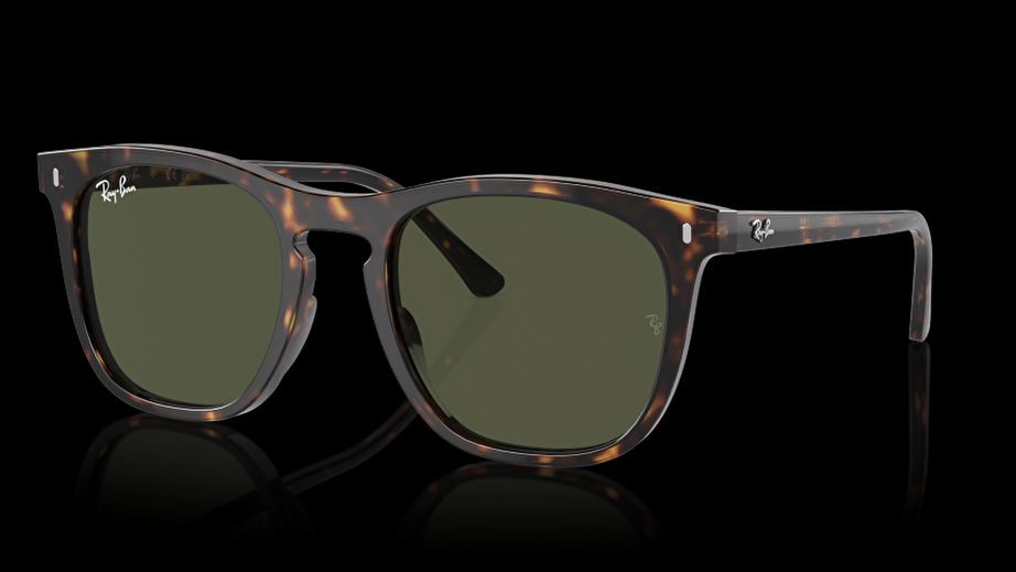 Ray-Ban Unısex Güneş Gözlüğü GU036597 7