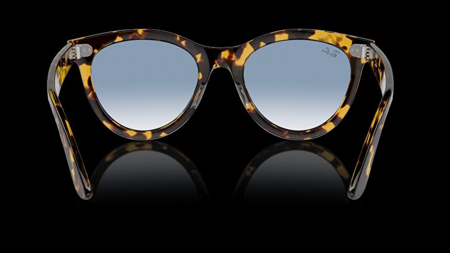 Ray-Ban Unısex Güneş Gözlüğü GU036599 3