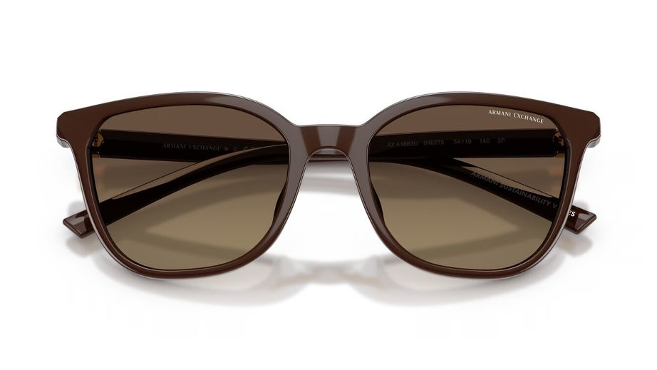 Armani Exchange Kadın Güneş Gözlüğü GU037099 4