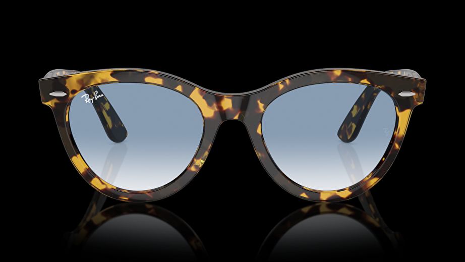 Ray-Ban Unısex Güneş Gözlüğü GU036599 1