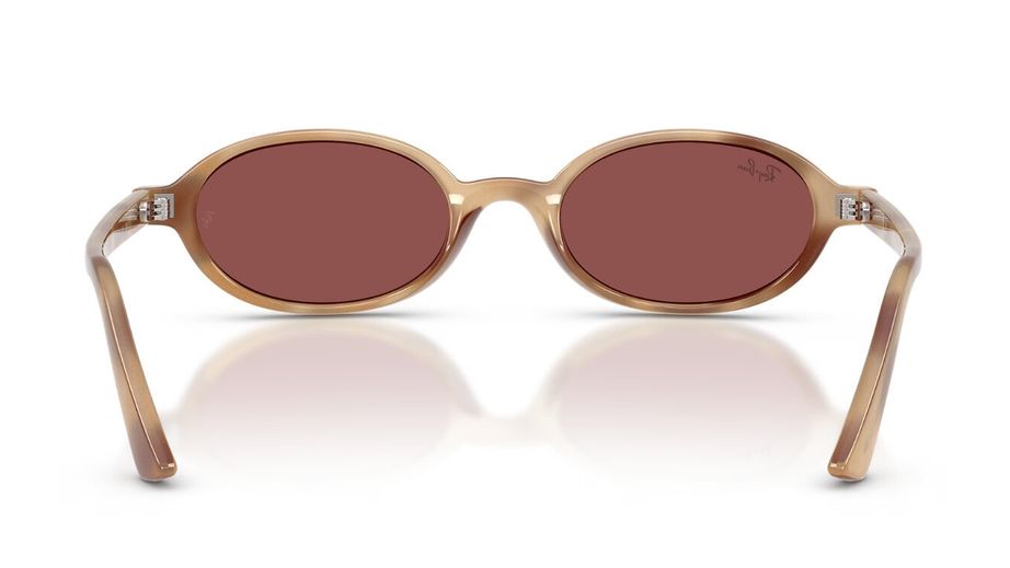 Ray-Ban Unısex Güneş Gözlüğü GU037205 3