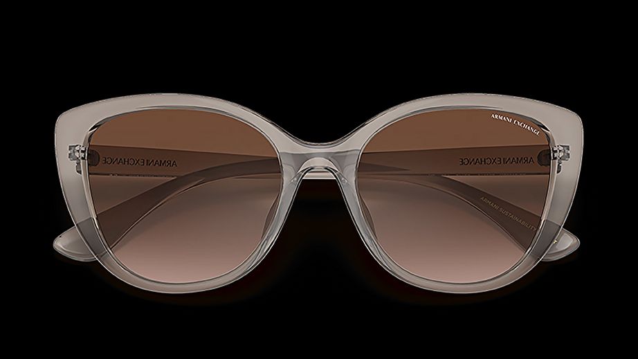 Armani Exchange Kadın Güneş Gözlüğü GU036032 4