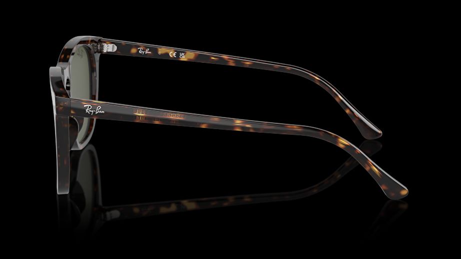 Ray-Ban Unısex Güneş Gözlüğü GU036598 2