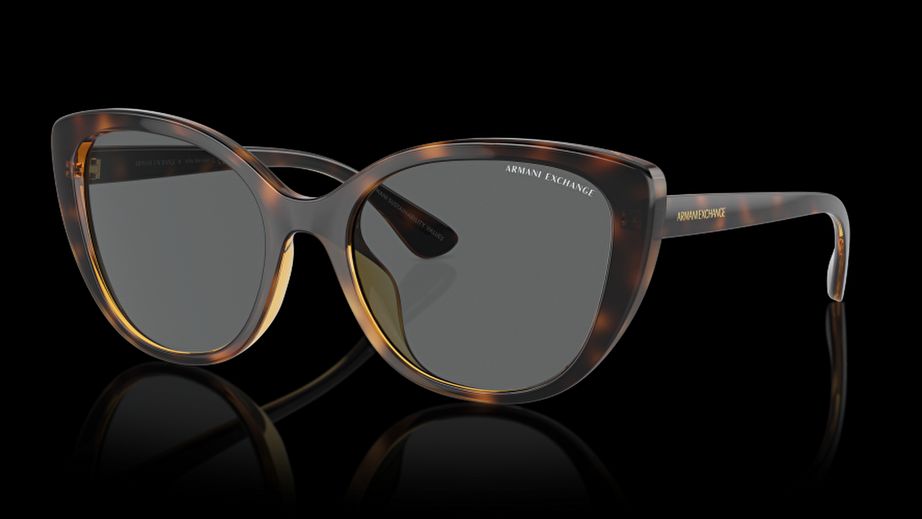 Armani Exchange Kadın Güneş Gözlüğü GU036032 6