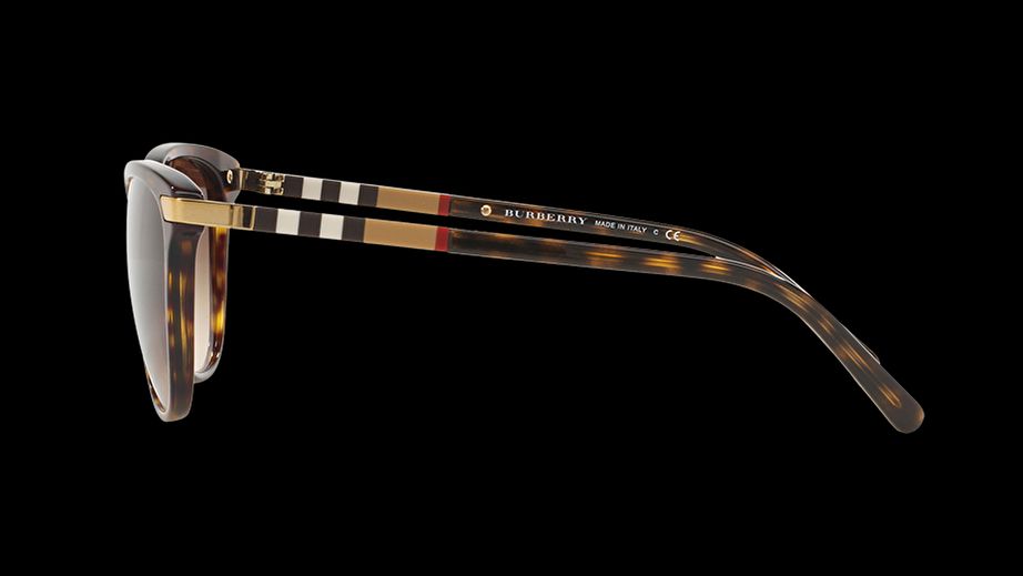 Burberry Kadın Güneş Gözlüğü GU032209 2