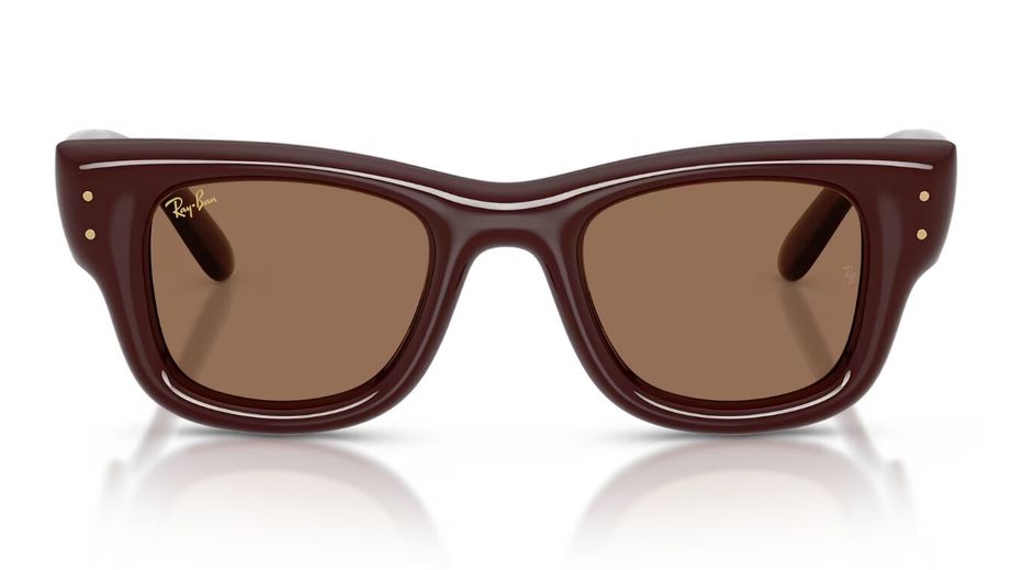 Ray-Ban Unısex Güneş Gözlüğü GU037206 1