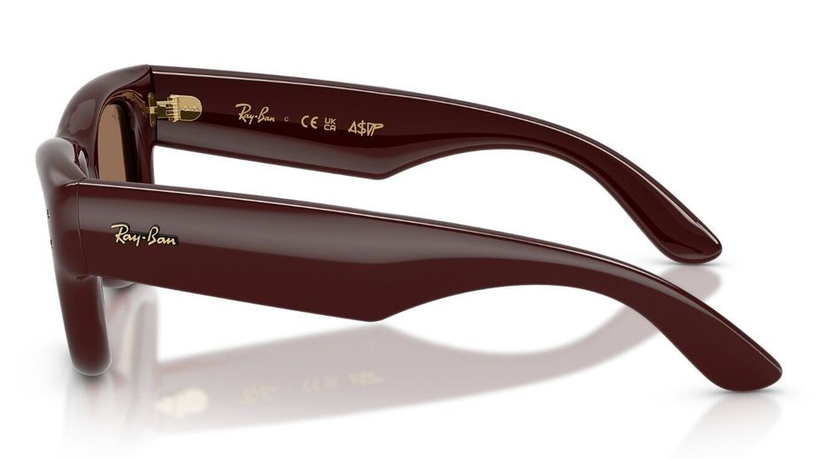 Ray-Ban Unısex Güneş Gözlüğü GU037206 2