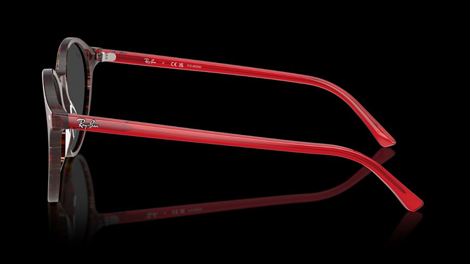 Ray-Ban Unısex Güneş Gözlüğü GU036697 2