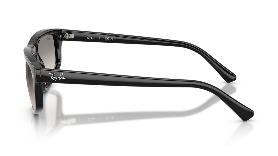 Ray-Ban Unısex Güneş Gözlüğü GU037192 2