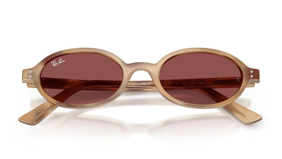 Ray-Ban Unısex Güneş Gözlüğü GU037205 4