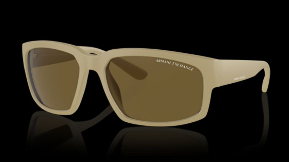 Armani Exchange Erkek Güneş Gözlüğü GU036565 6
