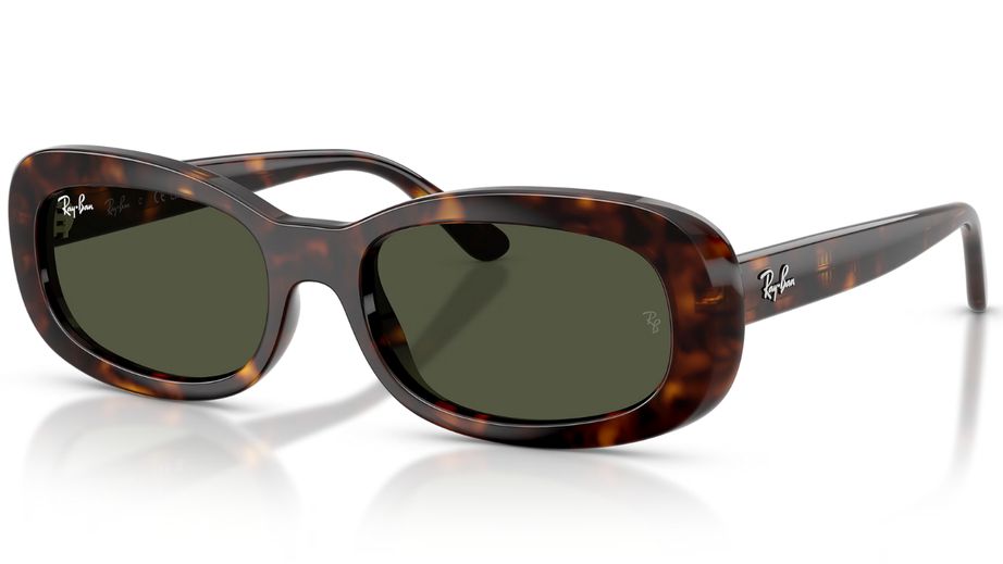 Ray-Ban Kadın Güneş Gözlüğü GU036971 5