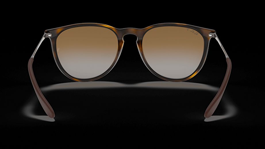 Ray-Ban Unısex Güneş Gözlüğü GU030809 3