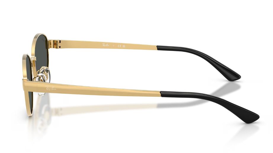Ray-Ban Unısex Güneş Gözlüğü GU036983 2
