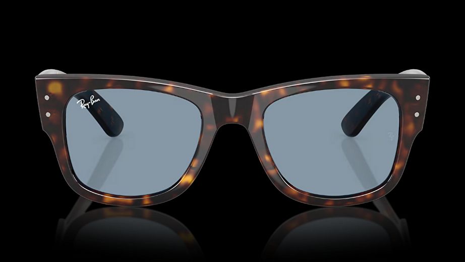 Ray-Ban Unısex Güneş Gözlüğü GU036885 1