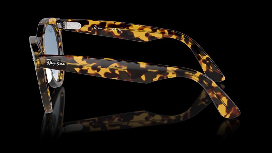 Ray-Ban Unısex Güneş Gözlüğü GU036599 2