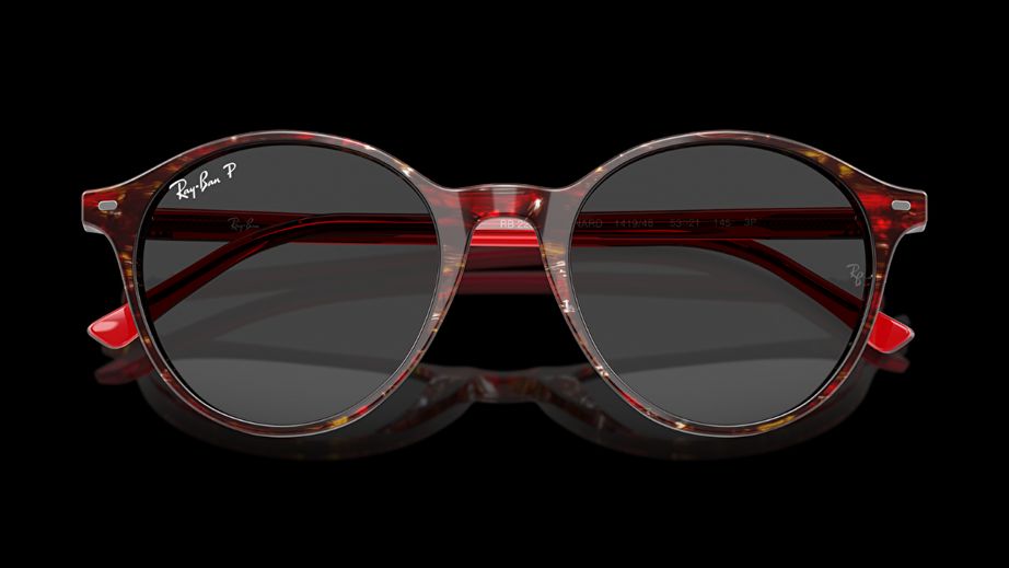 Ray-Ban Unısex Güneş Gözlüğü GU036697 4