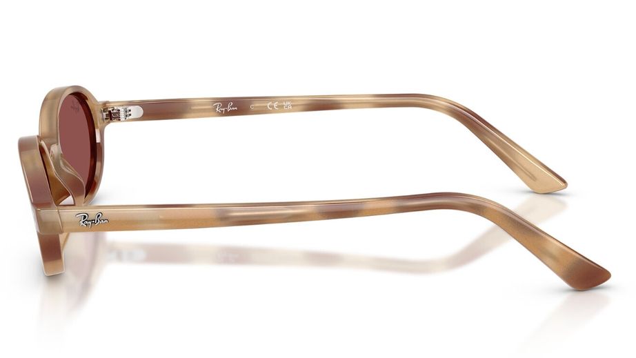 Ray-Ban Unısex Güneş Gözlüğü GU037205 2