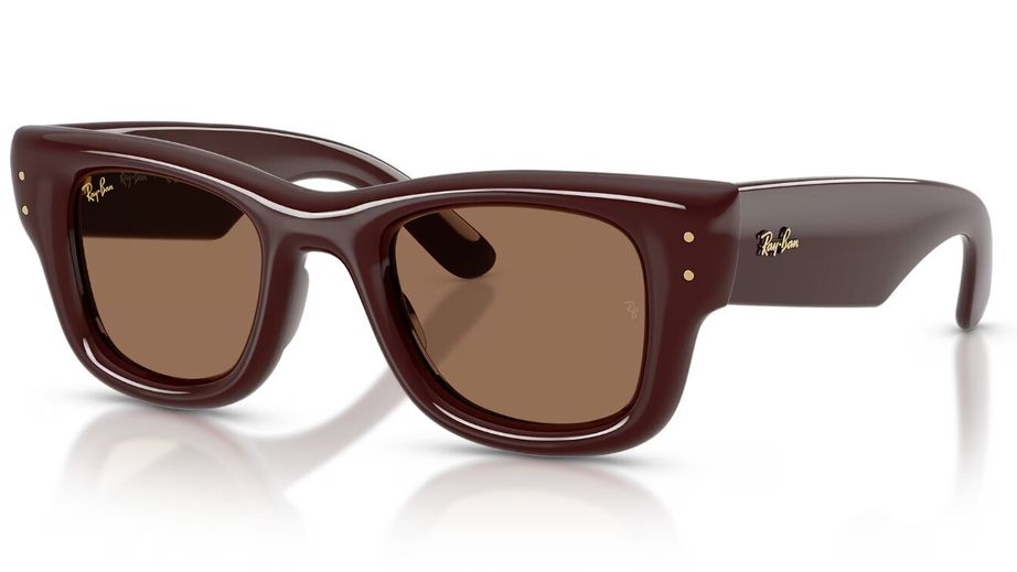 Ray-Ban Unısex Güneş Gözlüğü GU036960