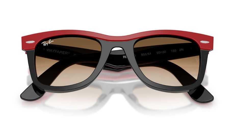 Ray-Ban Unısex Güneş Gözlüğü GU036975 4
