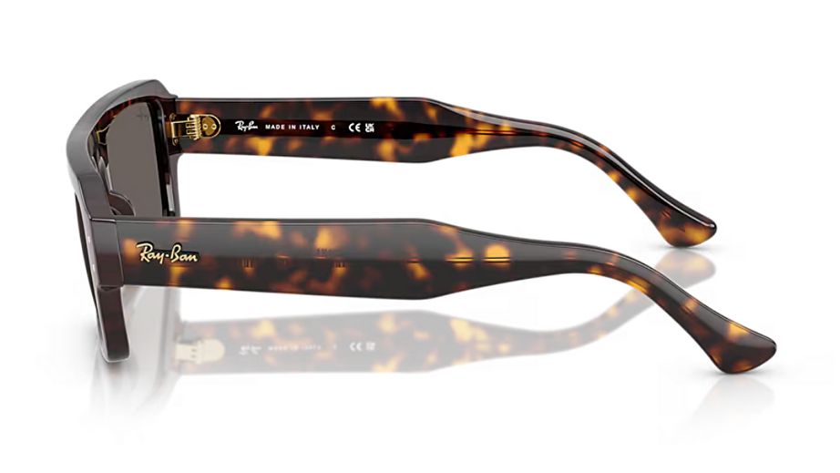 Ray-Ban Unısex Güneş Gözlüğü GU036893 2