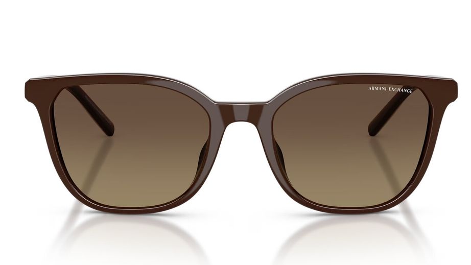 Armani Exchange Kadın Güneş Gözlüğü GU037099 1