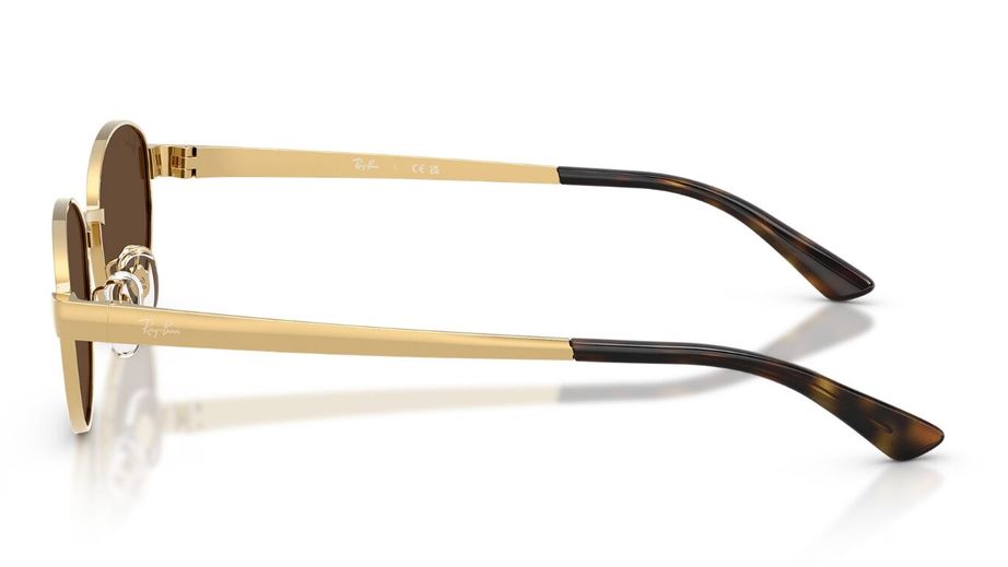 Ray-Ban Unısex Güneş Gözlüğü GU036982 2