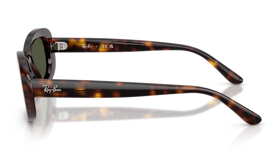 Ray-Ban Kadın Güneş Gözlüğü GU037002 2