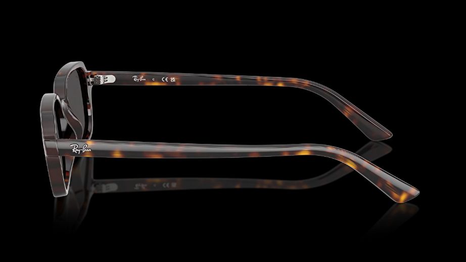 Ray-Ban Unısex Güneş Gözlüğü GU036894 2