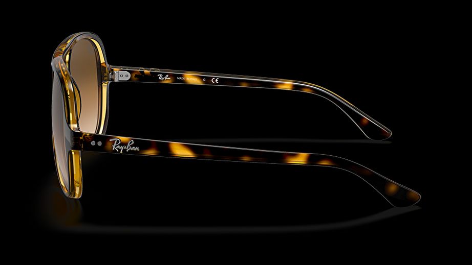 Ray-Ban Unısex Güneş Gözlüğü GU020623 2