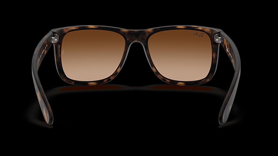 Ray-Ban Unısex Güneş Gözlüğü GU020891 3