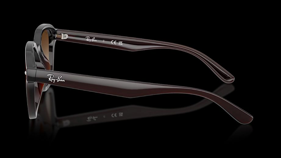 Ray-Ban Unısex Güneş Gözlüğü GU036897 2