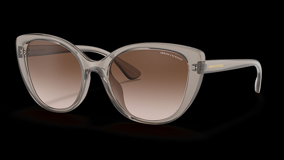 Armani Exchange Kadın Güneş Gözlüğü GU036564 5