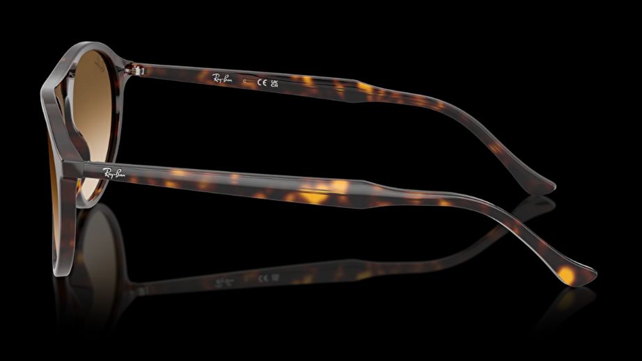 Ray-Ban Unısex Güneş Gözlüğü GU036887 2