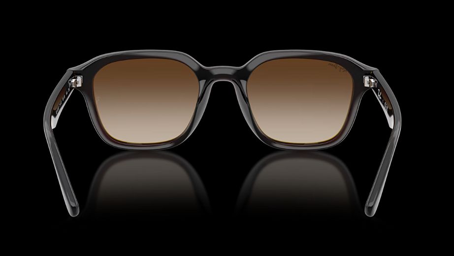 Ray-Ban Unısex Güneş Gözlüğü GU036897 3