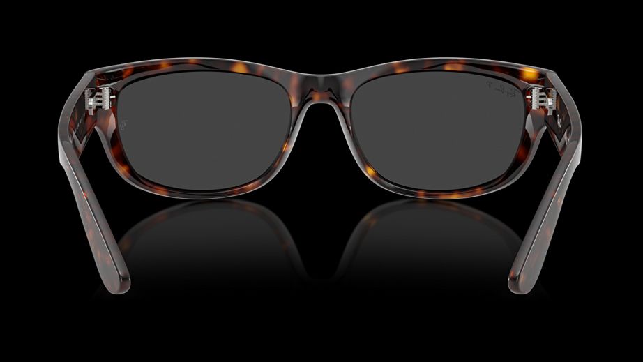 Ray-Ban Unısex Güneş Gözlüğü GU036704 3